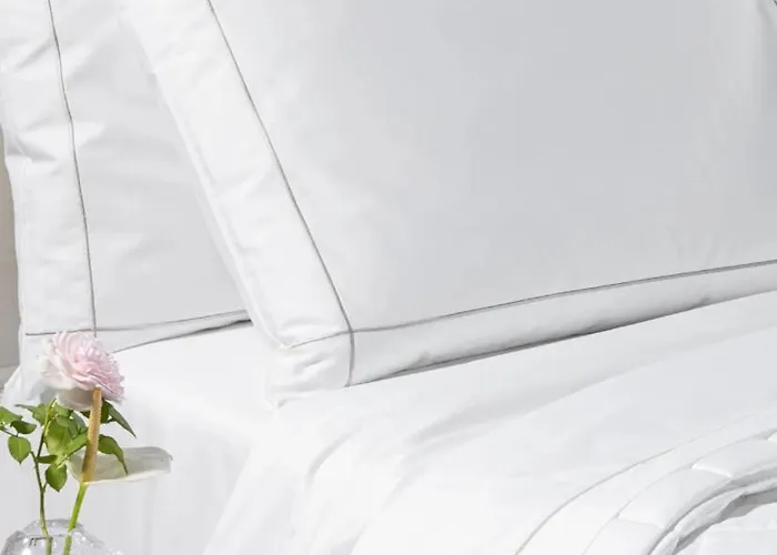 Lora Rose ,free Parking, Self Check In,2 *